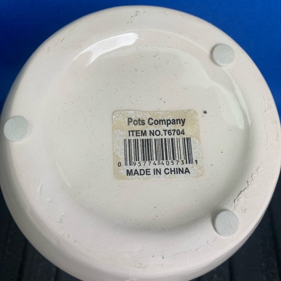 Red Cardinal Flower Pot. Beautiful Color. Great for plants! Order today - Picture 2 of 4